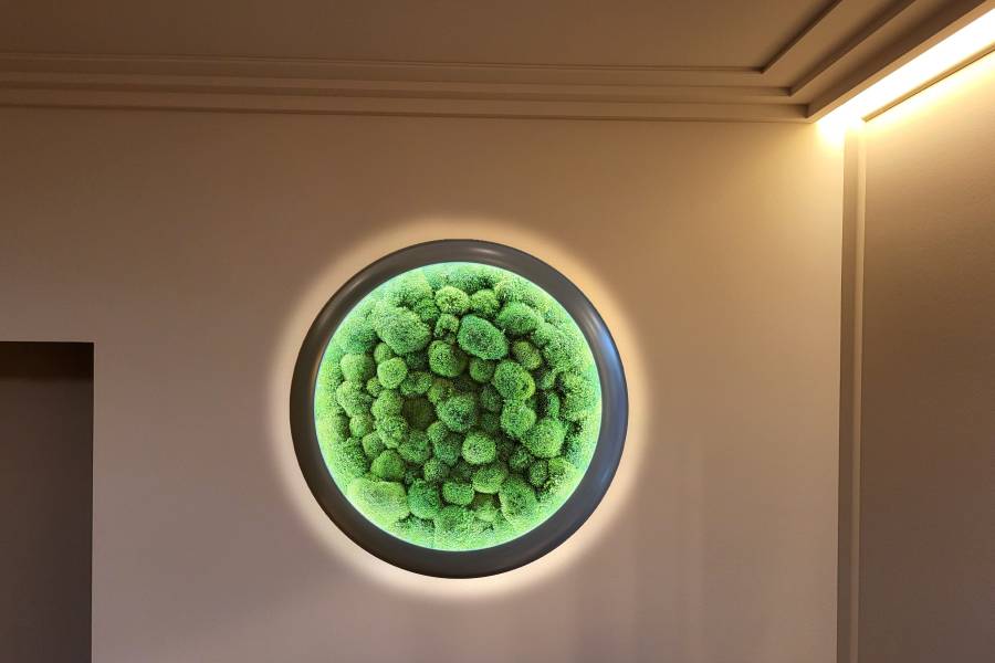 Beleuchtete Wandbilder im verKORKst Ladengeschäft Bad Tölz